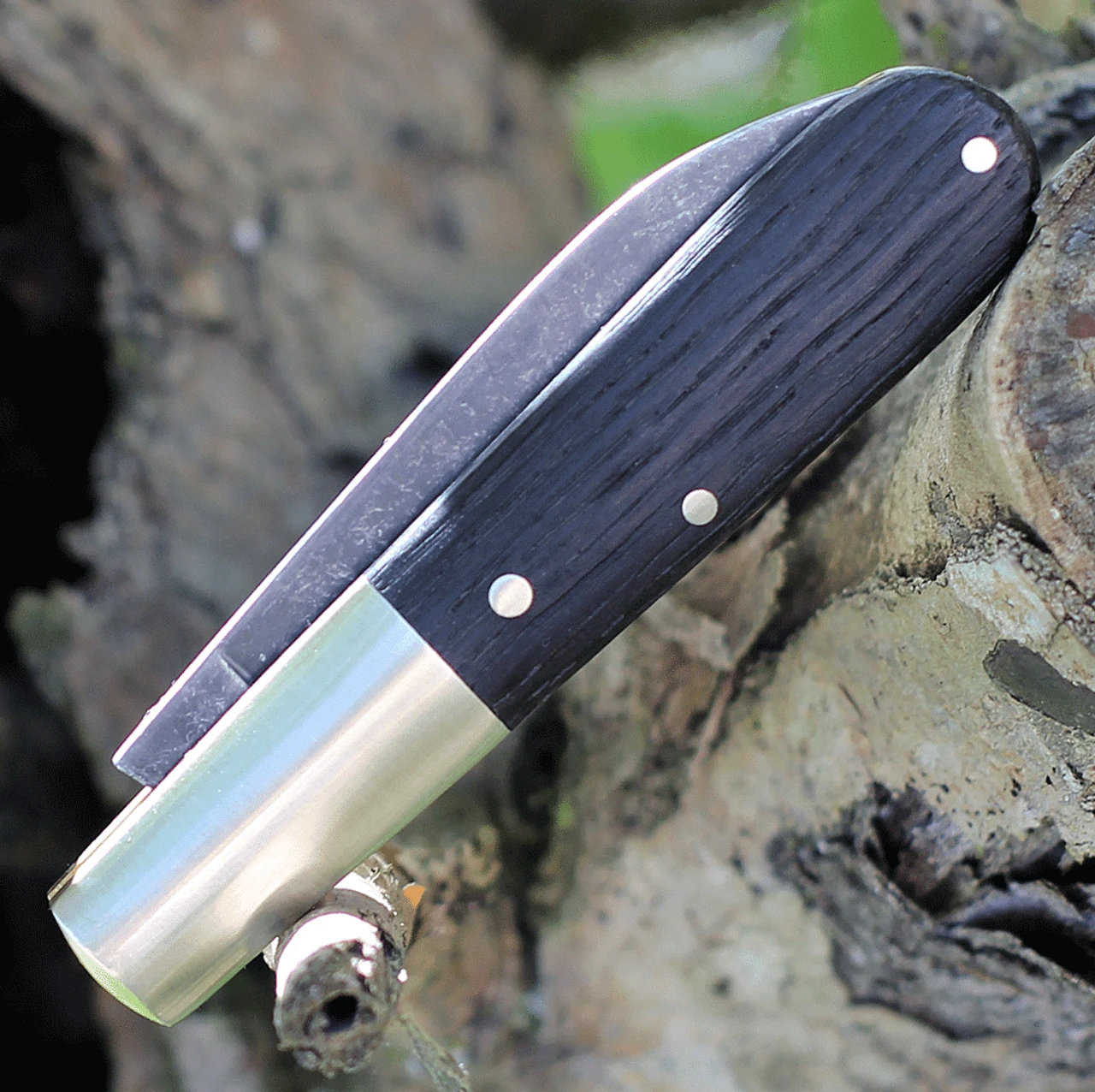 Boker Solingen Oak Tree Barlow 100503, 3.38" C75 Carbon Steel Polished Plain Blade, Bog Oak Wood Handles 5 Boker Solingen Oak Tree Barlow 100503, 3.38" C75 Carbon Steel Polished Plain Blade, Bog Oak Wood Handles - Image 3