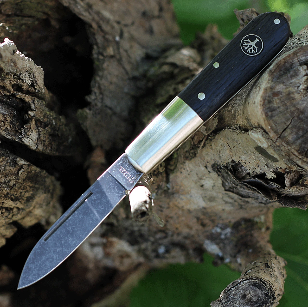 Boker Solingen Oak Tree Barlow 100503, 3.38" C75 Carbon Steel Polished Plain Blade, Bog Oak Wood Handles 3 Boker Solingen Oak Tree Barlow 100503, 3.38" C75 Carbon Steel Polished Plain Blade, Bog Oak Wood Handles